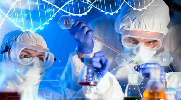 Lĩnh vực hoạt động